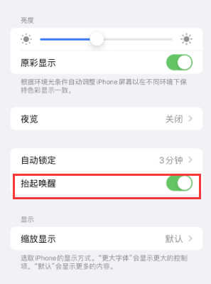 盐城苹果授权维修站分享iPhone轻点无法唤醒怎么办