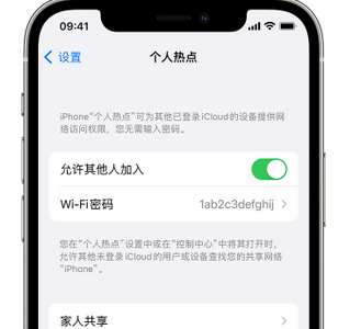 盐城apple服务站点分享iPhone上个人热点丢失了怎么办 