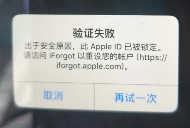 盐城iPhone维修分享iPhone上正常登录或使用AppleID怎么办 