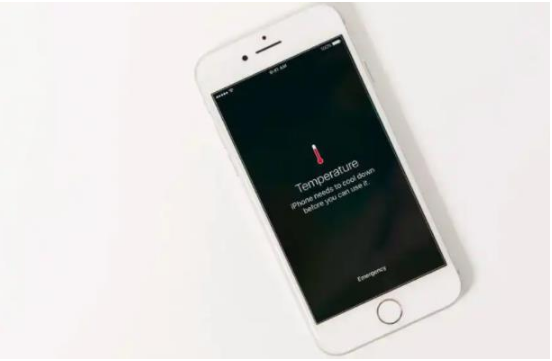 盐城苹果手机维修分享iPhone 手机发热如何快速降温 