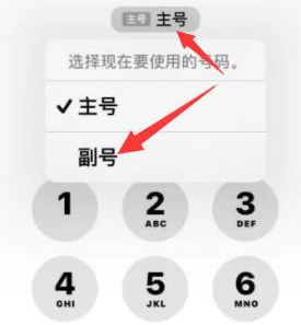 盐城苹果14维修店分享iPhone 14 Pro Max使用副卡打电话的方法 