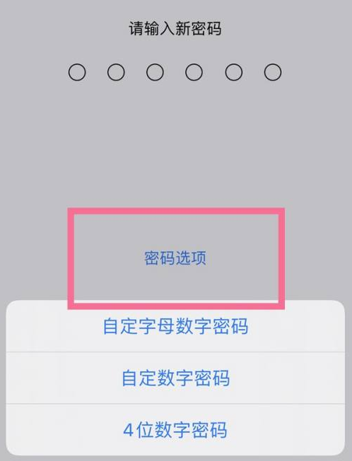 盐城苹果14维修分享iPhone 14plus设置密码的方法 