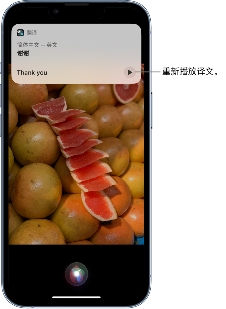 盐城苹果14维修分享 iPhone 14 机型中使用 Siri：了解 Siri 能帮你做什么 