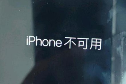 盐城苹果服务网点分享锁屏界面显示“iPhone 不可用”如何解决 