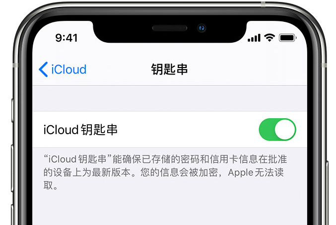 盐城苹果手机维修分享在 iPhone 上开启 iCloud 钥匙串之后会储存哪些信息 