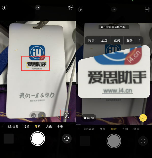 盐城苹果手机维修分享升级iOS 16后如何通过相机翻译文本 