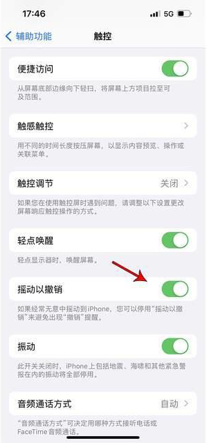 盐城苹果手机维修分享iPhone手机如何设置摇一摇删除文字 