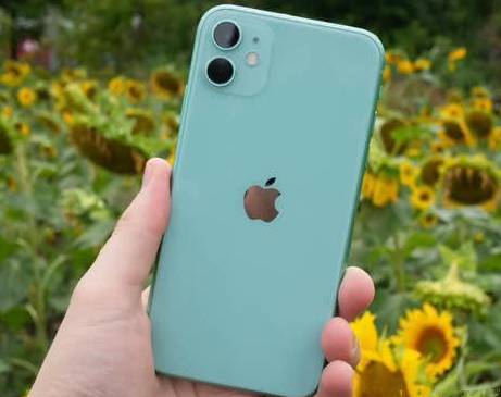 盐城苹果维修点分享iPhone 11锁屏密码认知与使用科普 