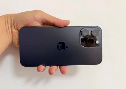 盐城苹果维修点分享iPhone 14 Pro Max黑屏少见故障盘点 